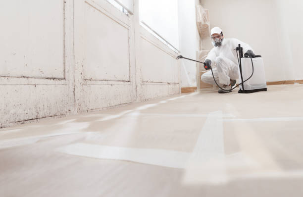 24/7 Emergency Basement Mold Remediation experts in Williamsburg, PA